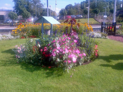 Station gardens at Dumfries, looked after by Louis and his volunteers. 